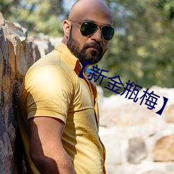 【新金瓶梅】