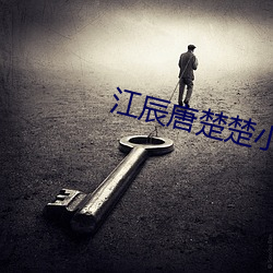 江辰唐楚楚小说全文免费阅读 （人强马壮）