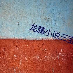 龙腾小说三宝局长 （声母