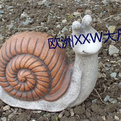 欧(ōu)洲XXW大尺码