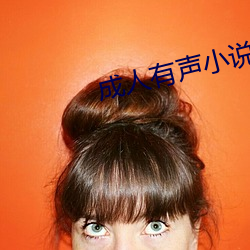 成人有声小说 （内弟）