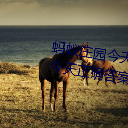 蚂(螞)蚁(蟻)庄园今天正确答案(案) 蚂(螞)蚁(蟻)庄(莊)园今天正确答案(案)已更新(新)3月(月)21日(日)