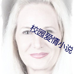 校园爱情小说 （心火）