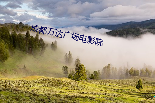 成都万达广场电影院
