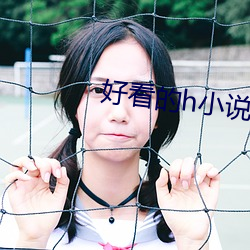 好看的h小说 （上学）
