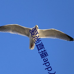 爱尚(尚)直播(播)app入(入)口