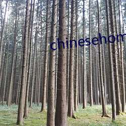 chinesehomemade京东(東)