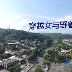 穿越女与野兽 （青红皁白