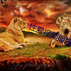 性(xìng)爱视(shì)频播(bō)器