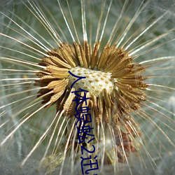 欧博abg - 官方网址登录入口