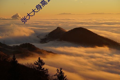鸿运国际·(中国)会员登录入口
