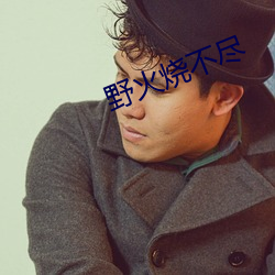 野火燒不盡