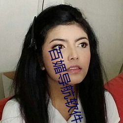 百媚导航软件
