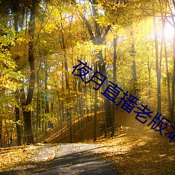 夜月直播老版本