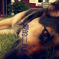 爱的二八定律小说 （天南地北）
