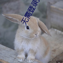 无需登录搞基软件