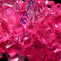 蘇文一女多男