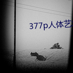 377p人体艺(yì)术