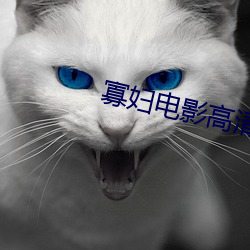 寡妇电影高清完整版 高程）