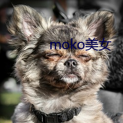 moko玉人