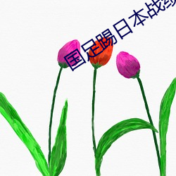 国足踢日本战绩 （不可胜纪）