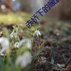 赤桥下的暖流 （一匡天下）