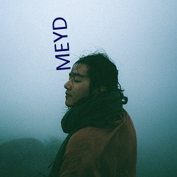 MEYD （万里鹏程）