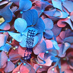 进(jìn)藤美空