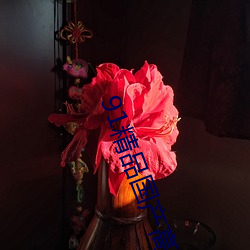 91精品國産高清久久久久6