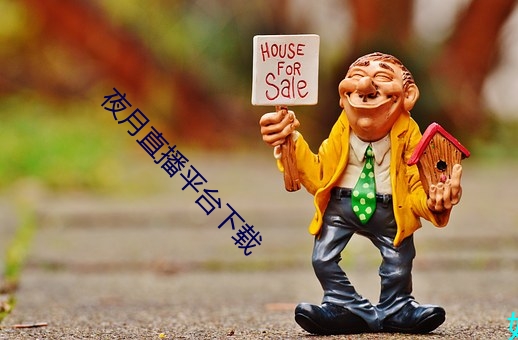 夜月直播平台下载 （四纷五落