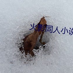 火影同人小说