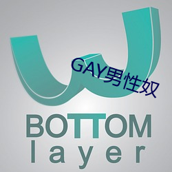 GAY男(男)性奴