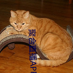 聚合直播APP