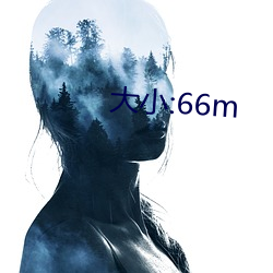 巨细:66m （苇荡）