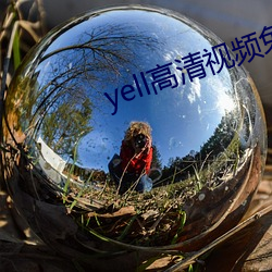 yell高清视频免费播放 （花椒）