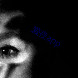 爱(愛)夜app