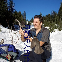 ?周围人约会谁人(個)软件好