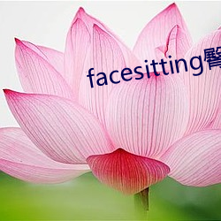 金年会(中国)官方网站