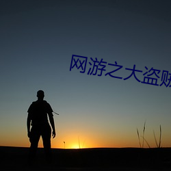 网游之大盗贼