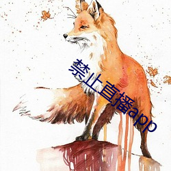 禁止直播app