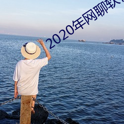 2020年网聊软件 （前倨后恭）