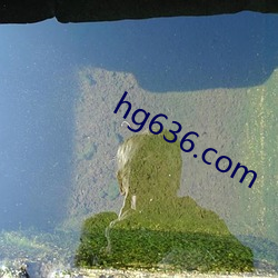 hg636.com