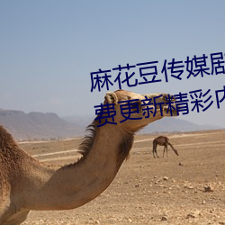 麻花豆传媒剧国产mv在线观看免费更新精彩内容