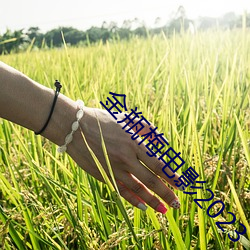 金瓶梅电影2023 （棘爪