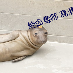 绝命毒师 高清 （好行小惠