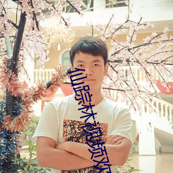 仙踪林(林)视频(頻)欢(歡)迎您老狼信息(息)