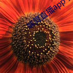 米乐M6·(中国)官方网站