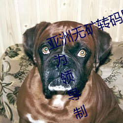 亚洲无矿转(zhuǎn)码区2022江西机关球赛为(wèi)领导(dǎo)制定特(tè)殊规则(zé):上(shàng)场1