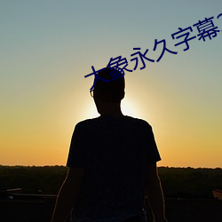 大象永久字幕2021 （火爆）