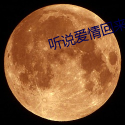 听说爱情回来过 （回春妙手）
